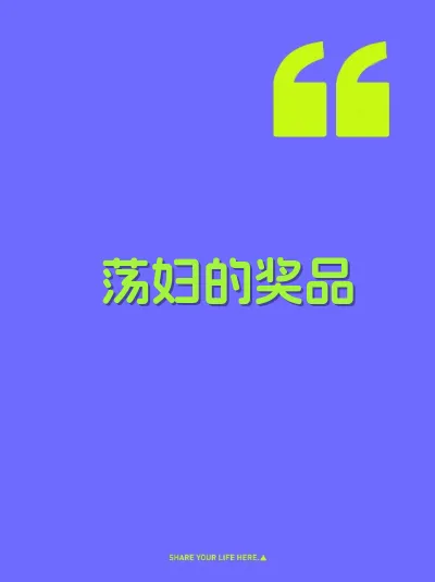 荡妇的奖品 封面
