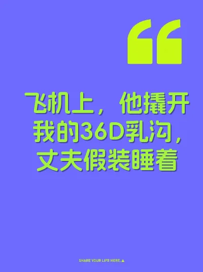 飞机上，他撬开我的36D乳沟，丈夫假装睡着 封面
