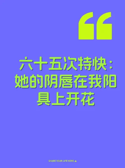 六十五次特快：她的阴唇在我阳具上开花 封面