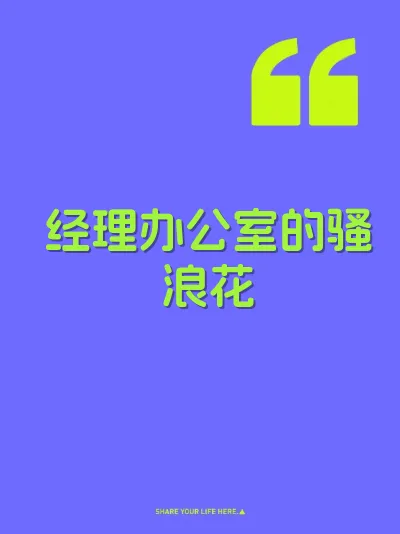 经理办公室的骚浪花