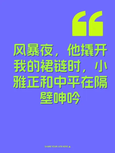 风暴夜，他撬开我的裙链时，小雅正和中平在隔壁呻吟 封面