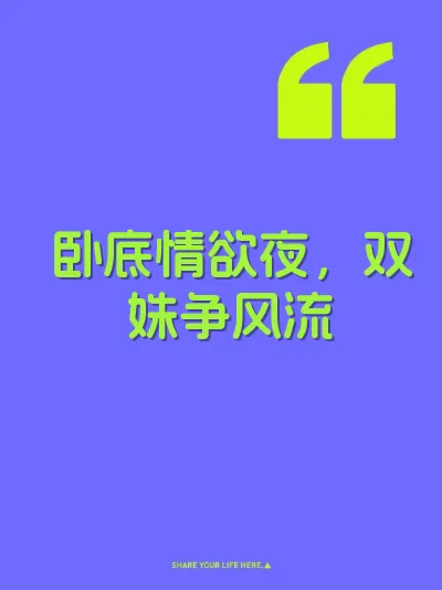 卧底情欲夜，双姝争风流 封面