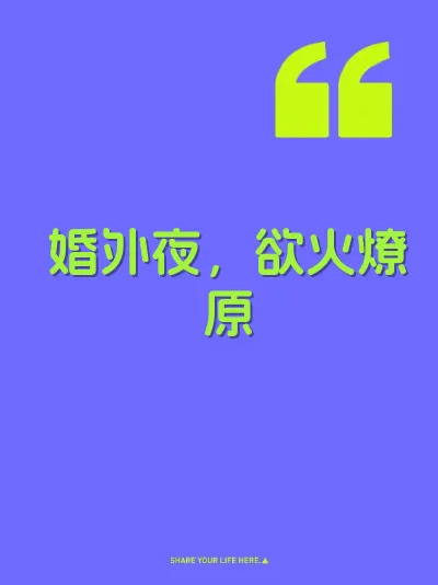 婚外夜，欲火燎原 封面