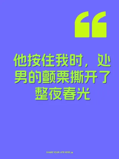 他按住我时，处男的颤栗撕开了整夜春光 封面