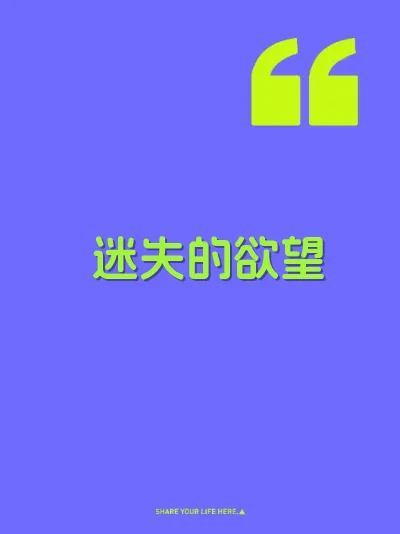 迷失的欲望 封面