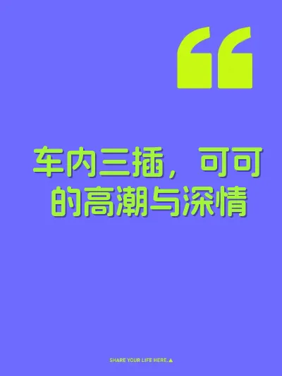 车内三插，可可的高潮与深情 封面