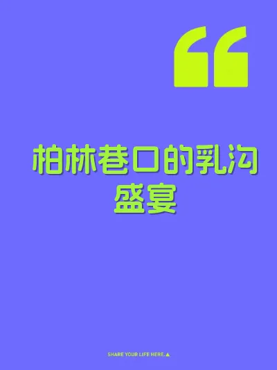 柏林巷口的乳沟盛宴 封面