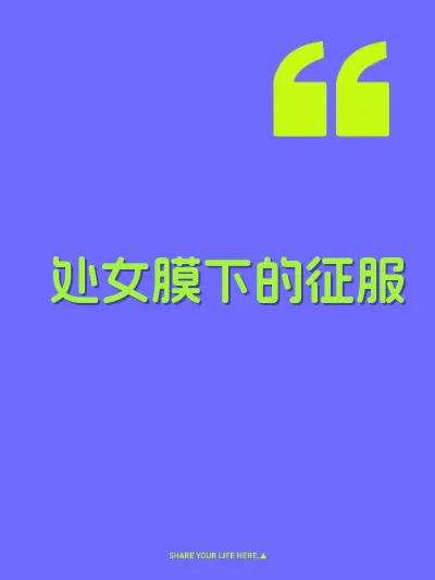 处女膜下的征服 封面