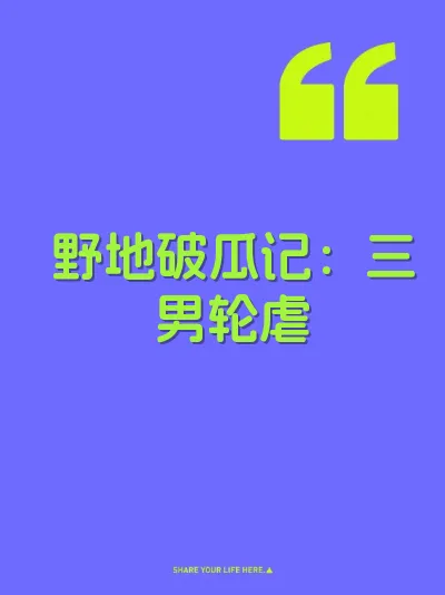 野地破瓜记：三男轮虐 封面