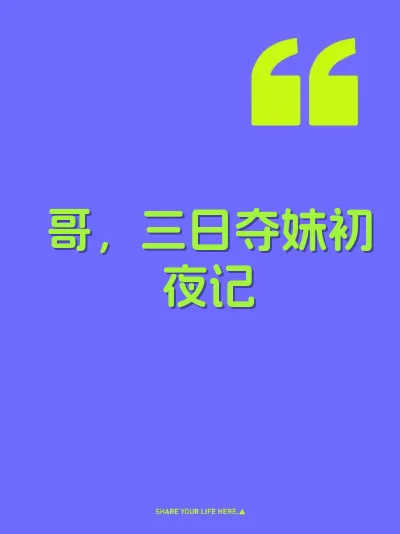 哥，三日夺妹初夜记 封面