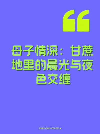 母子情深：甘蔗地里的晨光与夜色交缠 封面