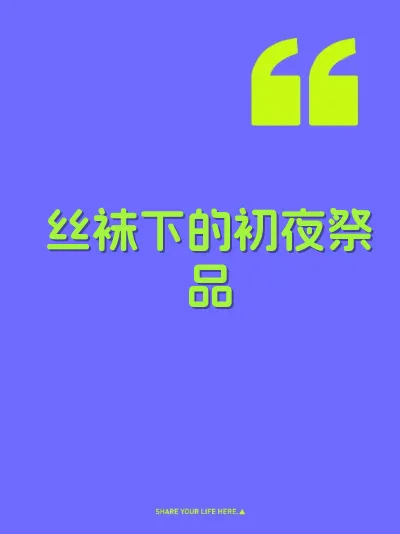 丝袜下的初夜祭品 封面