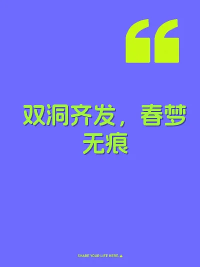双洞齐发，春梦无痕 封面