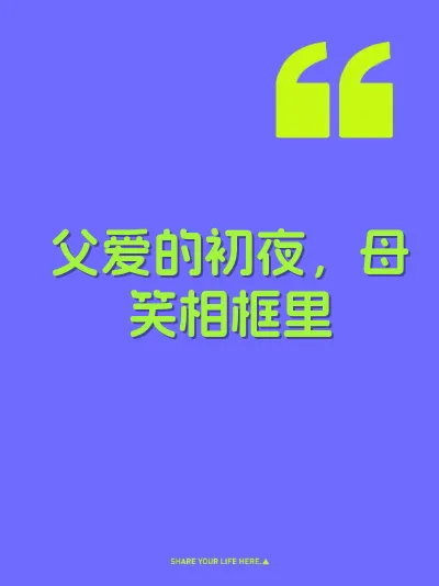 父爱的初夜，母笑相框里 封面