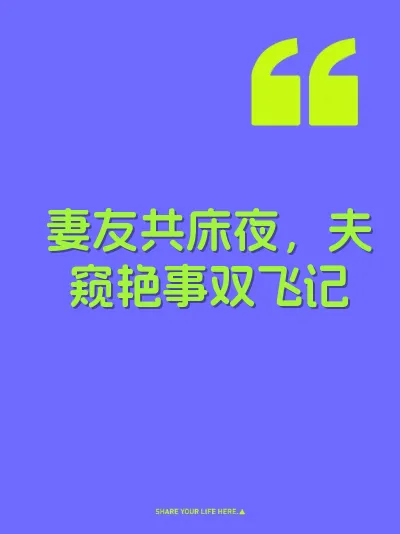 妻友共床夜，夫窥艳事双飞记 封面