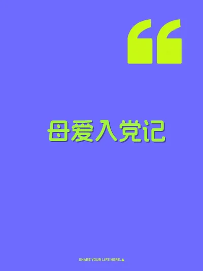 母爱入党记 封面