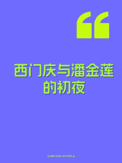 西门庆与潘金莲的初夜 封面