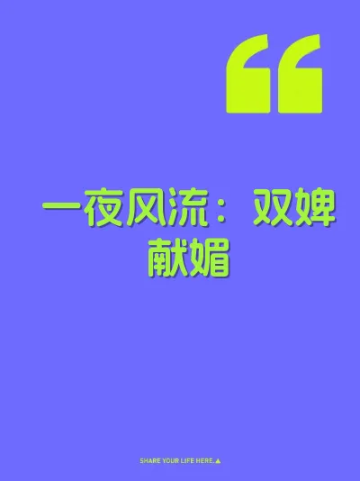 一夜风流：双婢献媚 封面
