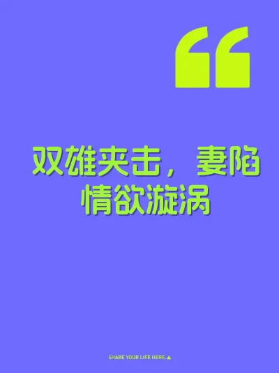双雄夹击，妻陷情欲漩涡 封面