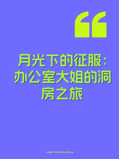 月光下的征服：办公室大姐的洞房之旅 封面