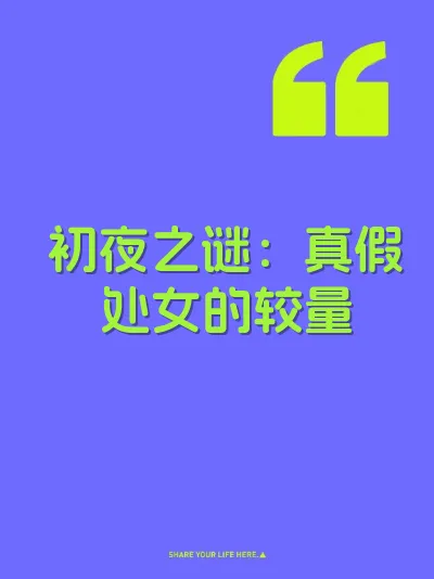 初夜之谜：真假处女的较量 封面