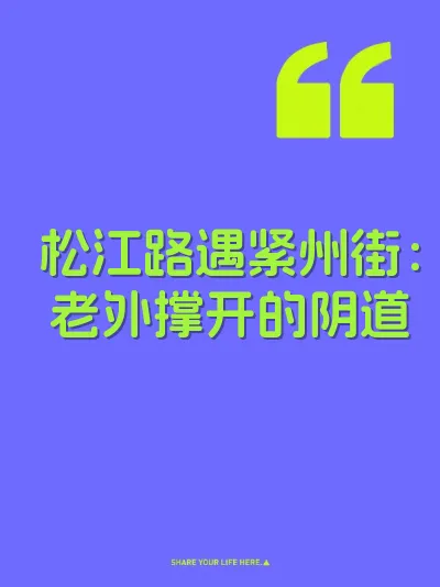 松江路遇紧州街：老外撑开的阴道