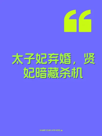 太子妃弃婚,贤妃暗藏杀机 封面