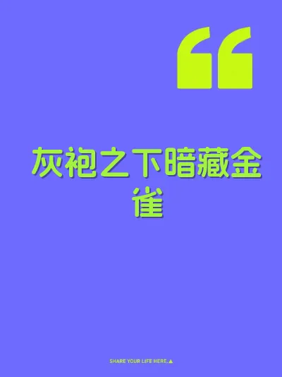 灰袍之下暗藏金雀 封面