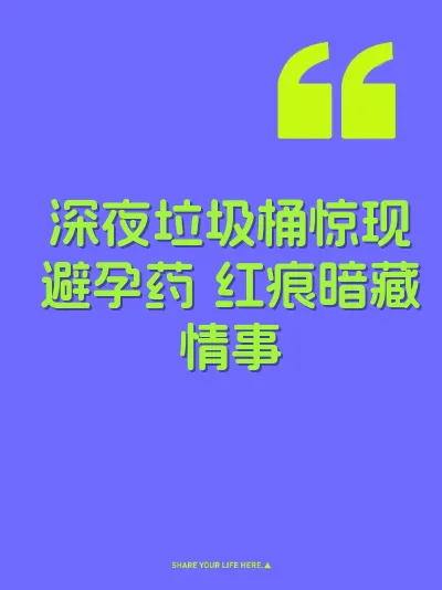 深夜垃圾桶惊现避孕药 红痕暗藏情事 封面