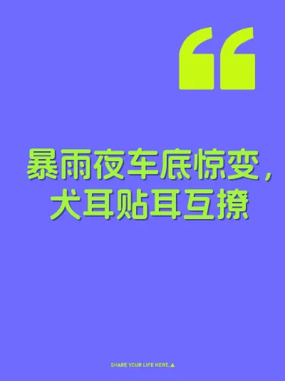 暴雨夜车底惊变，犬耳贴耳互撩 封面