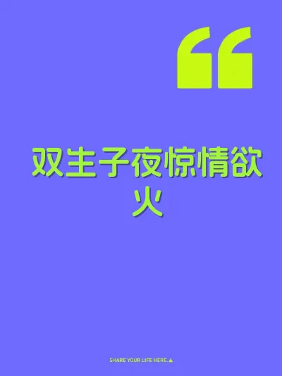 双生子夜惊情欲火 封面