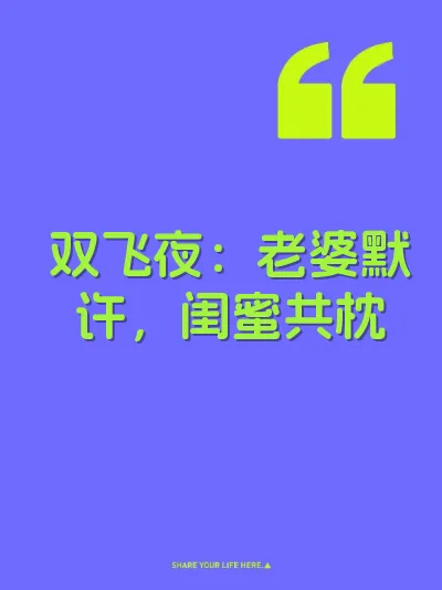 双飞夜：老婆默许，闺蜜共枕 封面