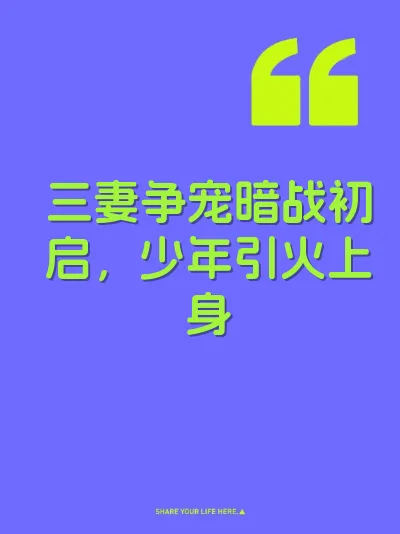 三妻争宠暗战初启，少年引火上身 封面