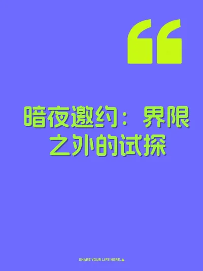 暗夜邀约：界限之外的试探 封面