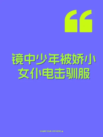 镜中少年被娇小女仆电击驯服 封面