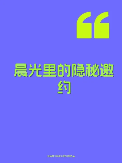 晨光里的隐秘邀约 封面