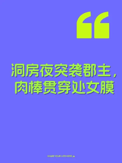 洞房夜突袭郡主，肉棒贯穿处女膜 封面