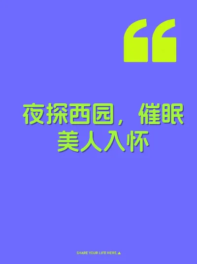 夜探西园，催眠美人入怀 封面