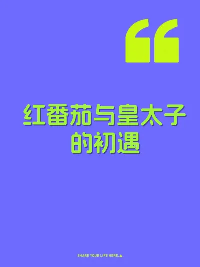 红番茄与皇太子的初遇 封面