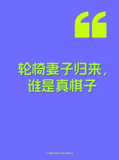 轮椅妻子归来,谁是真棋子 封面