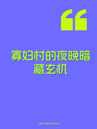 寡妇村的夜晚暗藏玄机 封面