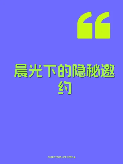 晨光下的隐秘邀约 封面