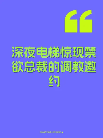 深夜电梯惊现禁欲总裁的调教邀约 封面