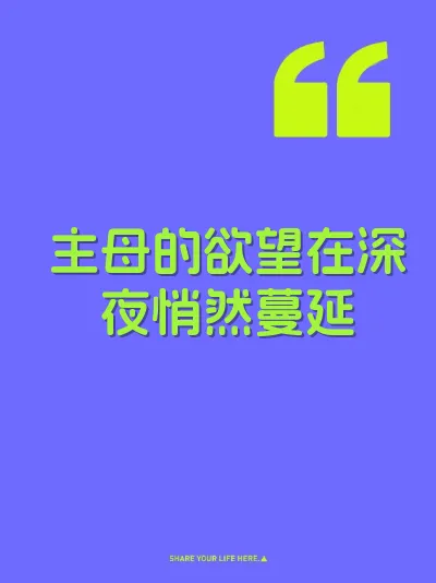 主母的欲望在深夜悄然蔓延 封面