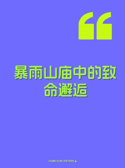 暴雨山庙中的致命邂逅 封面