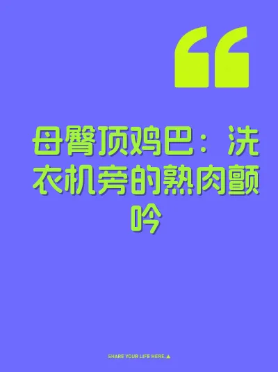 母臀顶鸡巴：洗衣机旁的熟肉颤吟 封面