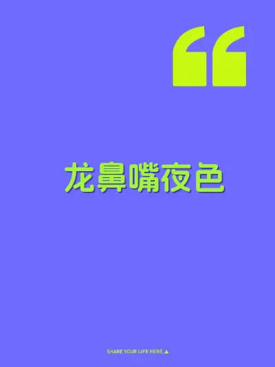 龙鼻嘴夜色 封面